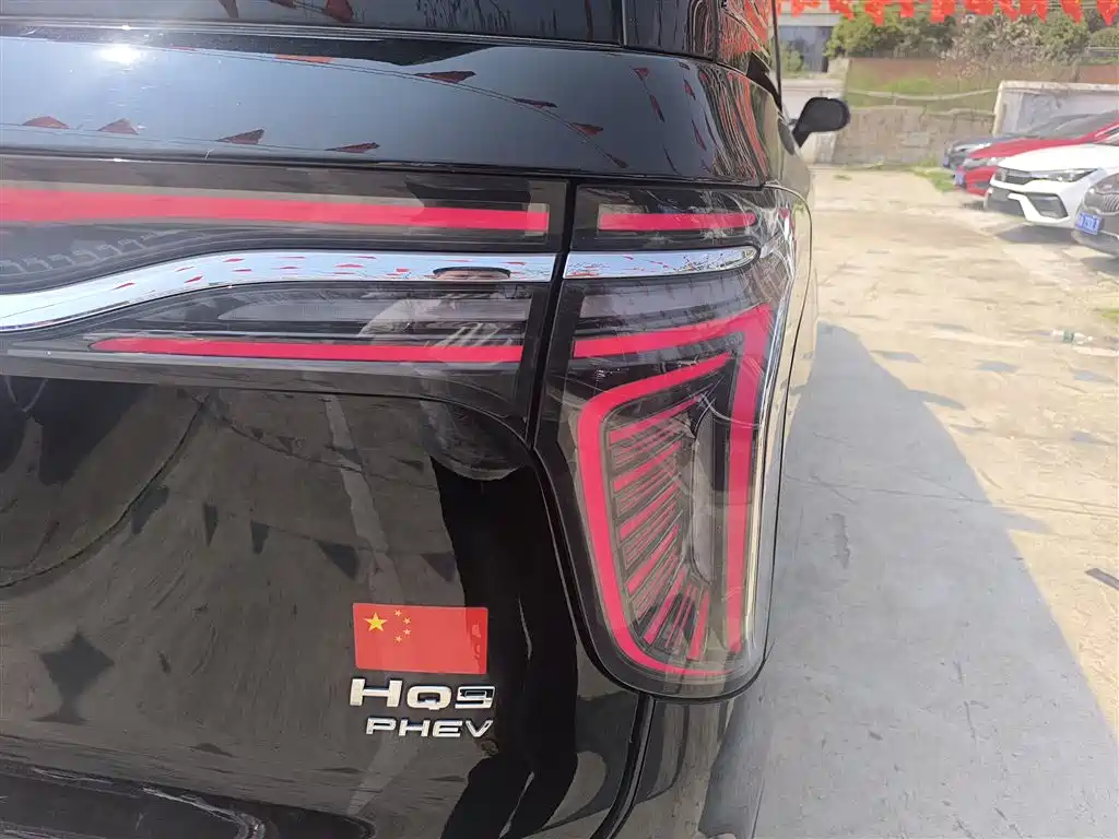 Hongqi HQ9 PHEV 2024 Model 2.0T AWD Business Edition фото 8