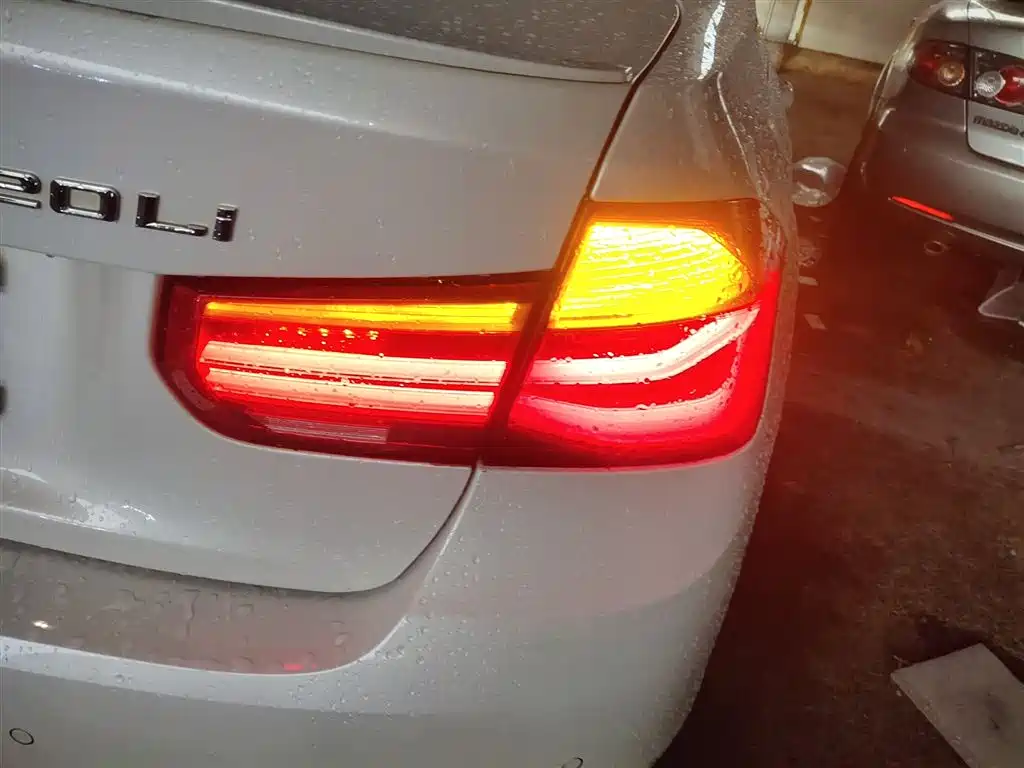 BMW 3 Series 2019 320Li Fashion Type фото 8
