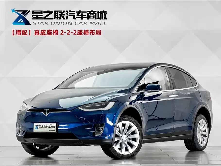 Фото 1 - Tesla Model X