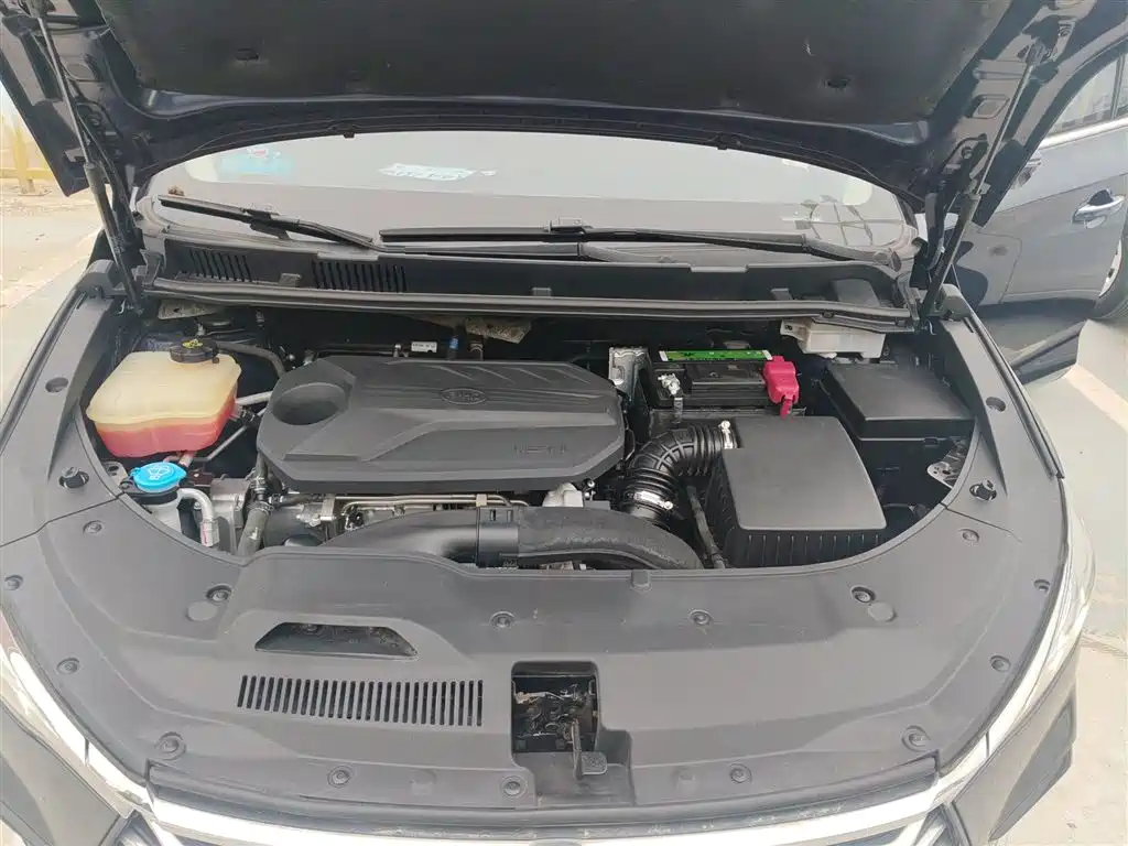BYD Song MAX 2021 Upgrade 1.5T Automatic Luxury Edition 6-Seater фото 20