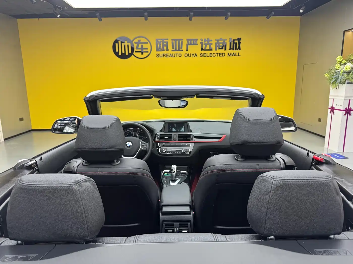 BMW 2 Series (Import) 2019 225i Convertible Coupe Sport Design Package фото 7