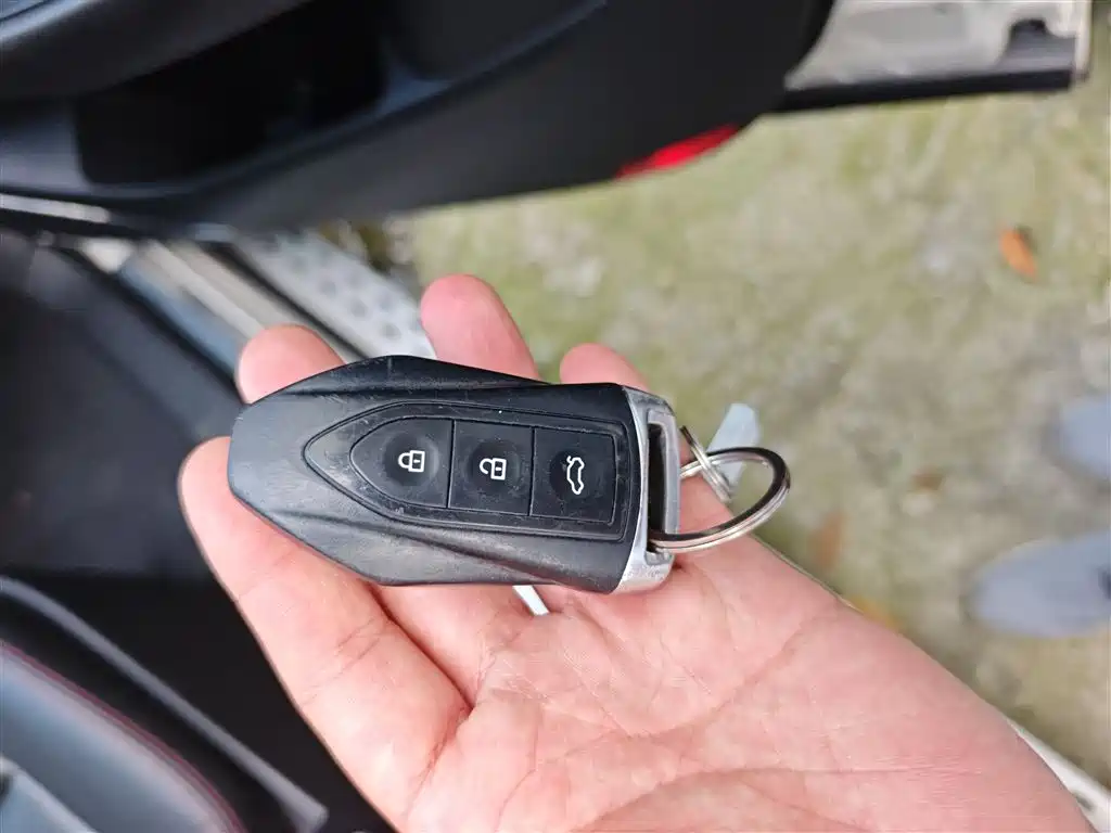 Leopaard CS10 2017 2017 Model 2.0T Automatic Urban Edition