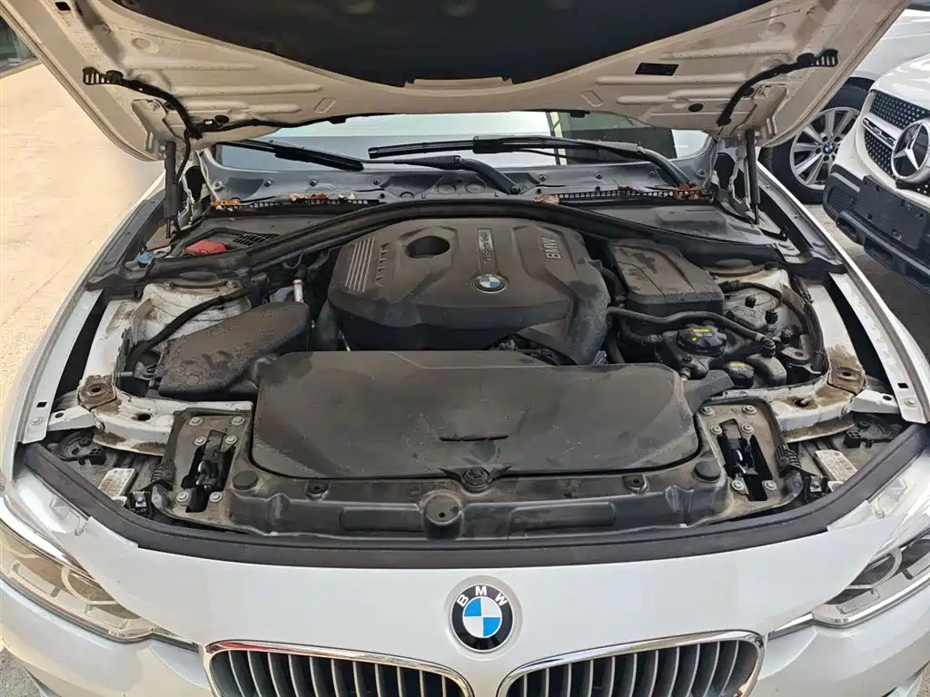 BMW 3 Series 2018 320Li Fashion Style фото 20