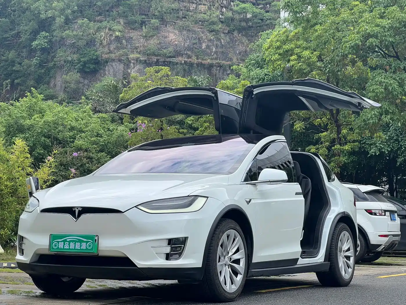TESLA MODEL X