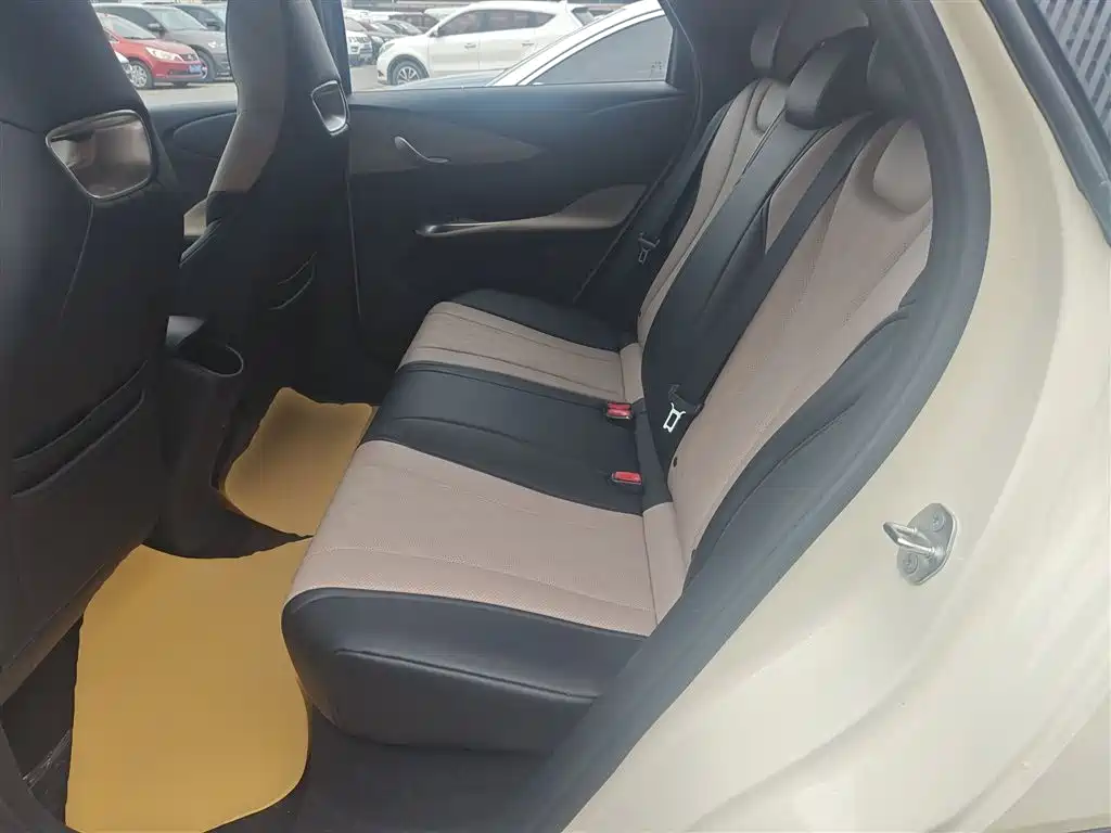 BYD Dolphin 2025 420km Freedom Edition фото 17