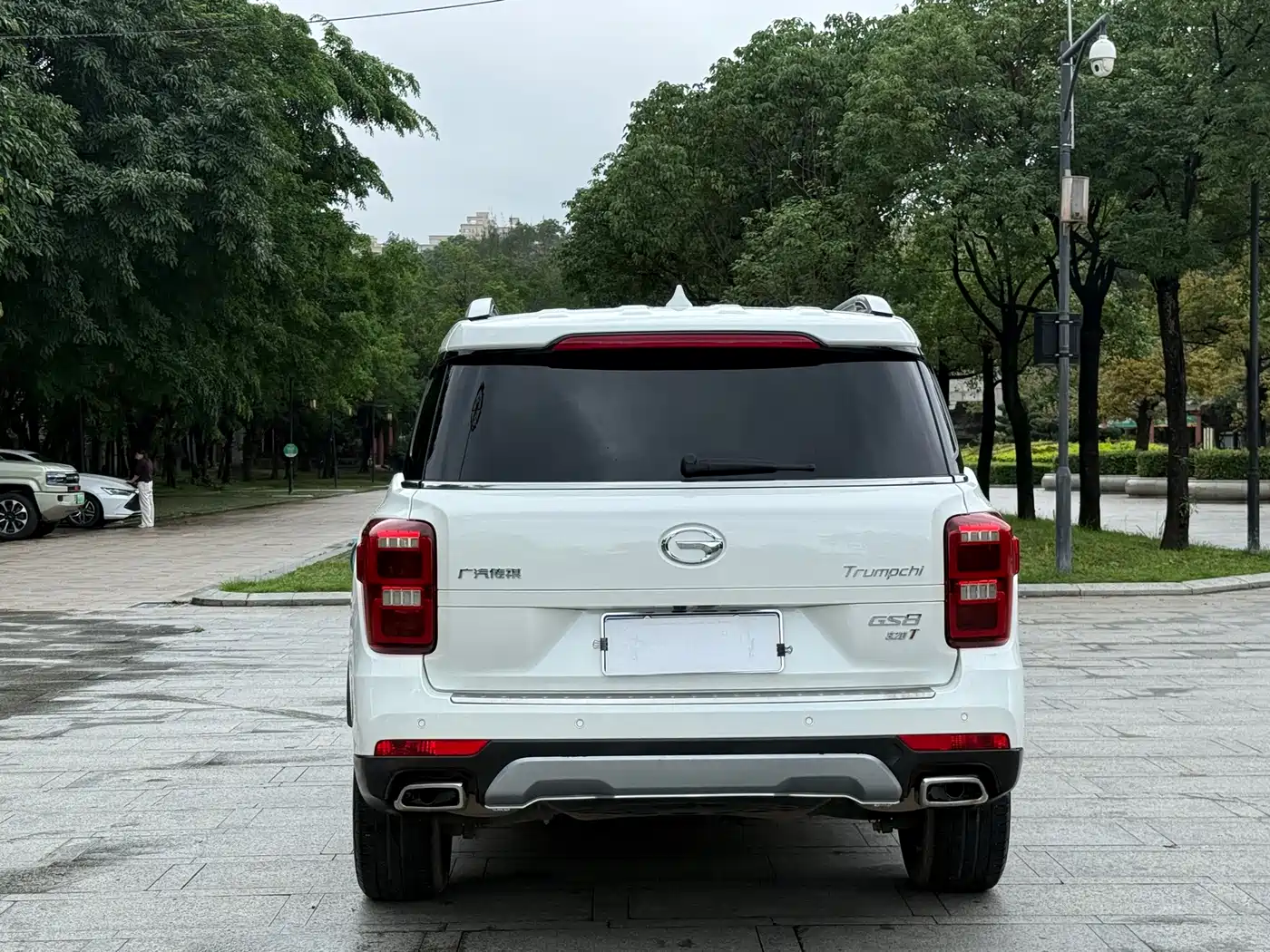 GAC Trumpchi Trumpchi GS8 2017 320T 2WD Luxury Smart Connect (7-seater) фото 8