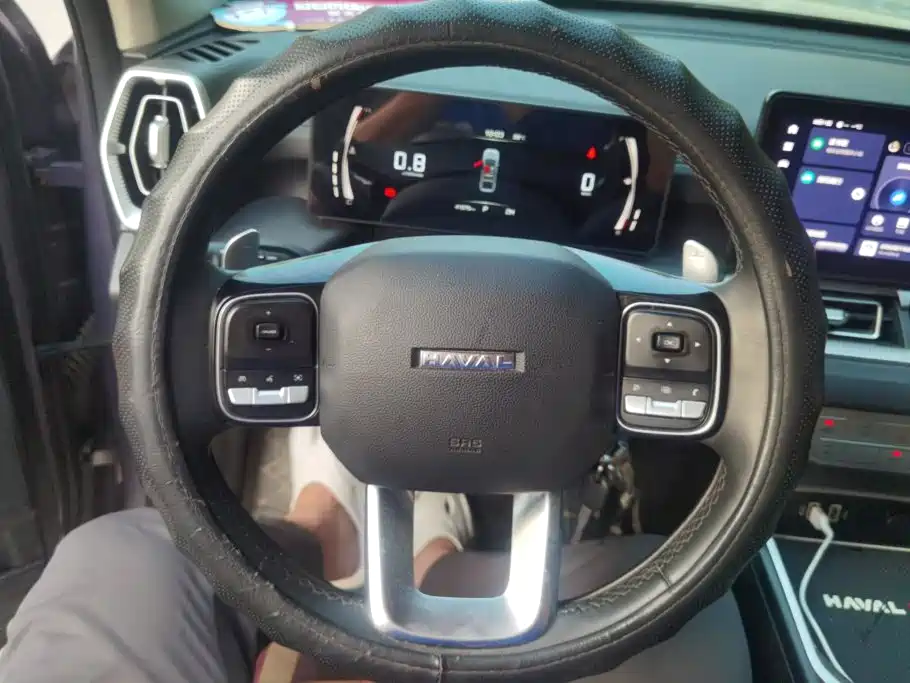 Haval H5 2024 2023 2.0T Automatic 4WD Leading Edition Diesel
