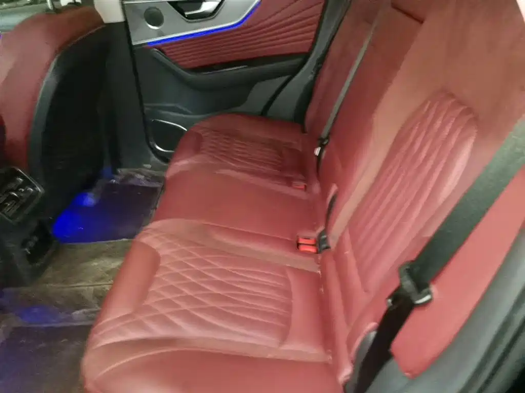Hongqi HS5 2023 2.0T Flag Enjoy Pro Edition фото 17