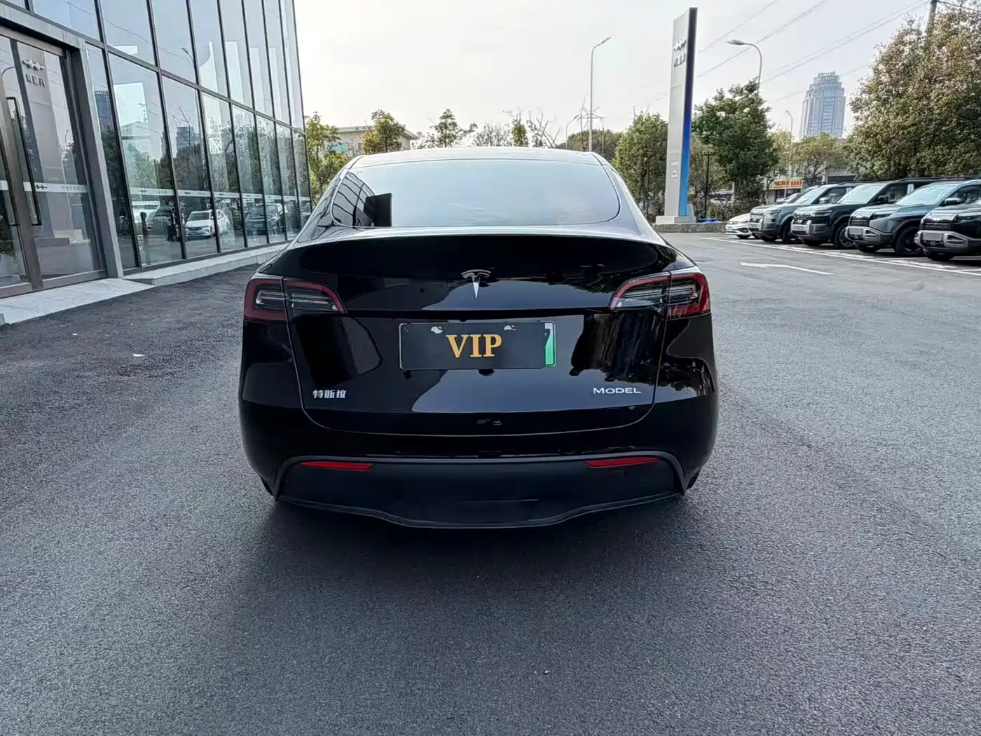 TESLA MODEL Y