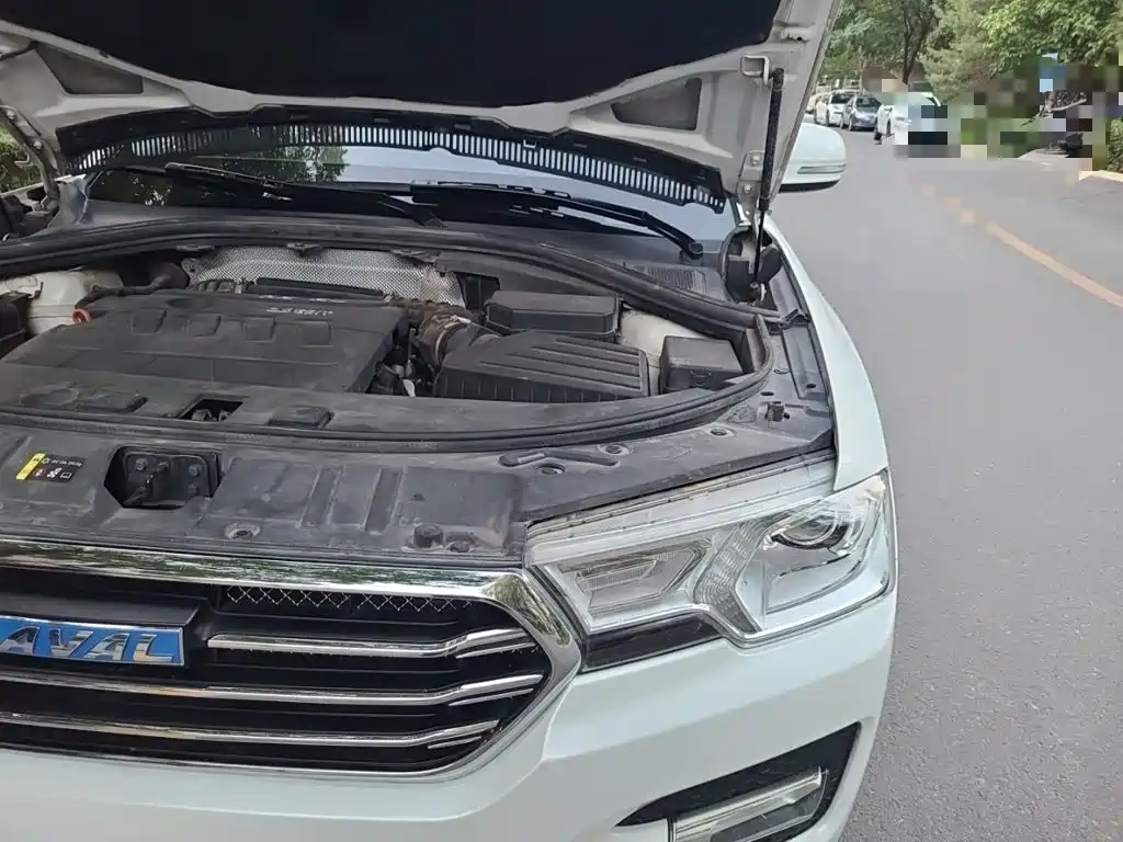 Haval H7 2017 2017 Blue Label H7L 2.0T Automatic Luxury