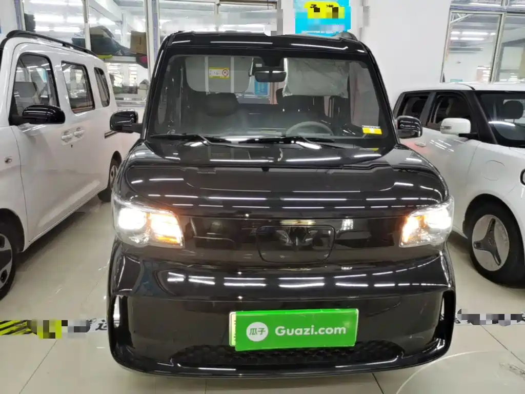 Wuling Motors Wuling Zhiguang NEV 2026 2025 Model 305km Base Version