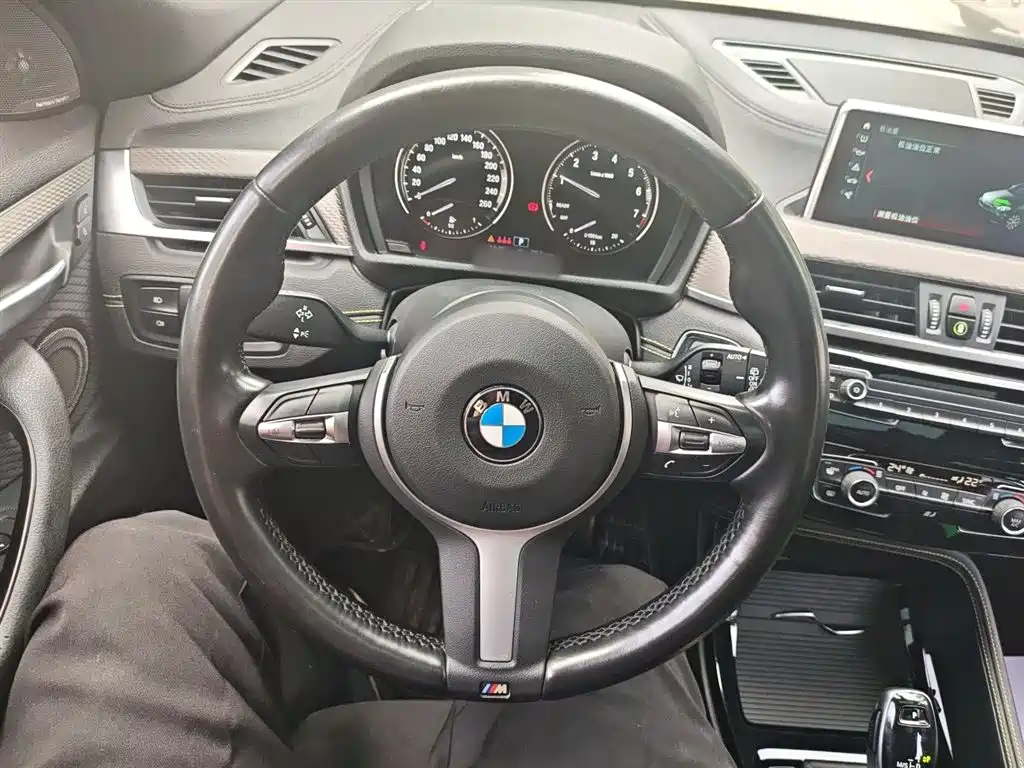BMW X2 (Import) 2018 sDrive25i Exclusive M Off-Road Package China V фото 11
