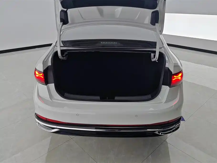 Volkswagen Sagitar 2024 300TSI DSG Surpass Edition фото 4