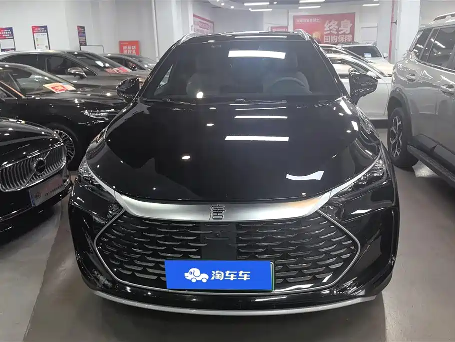 BYD Tang New Energy 2024 DM-i Honor Edition 112KM Premium фото 2