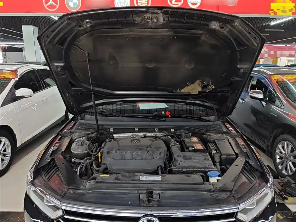 Volkswagen Magotan 2019 330TSI DSG Luxury Class China VI фото 20