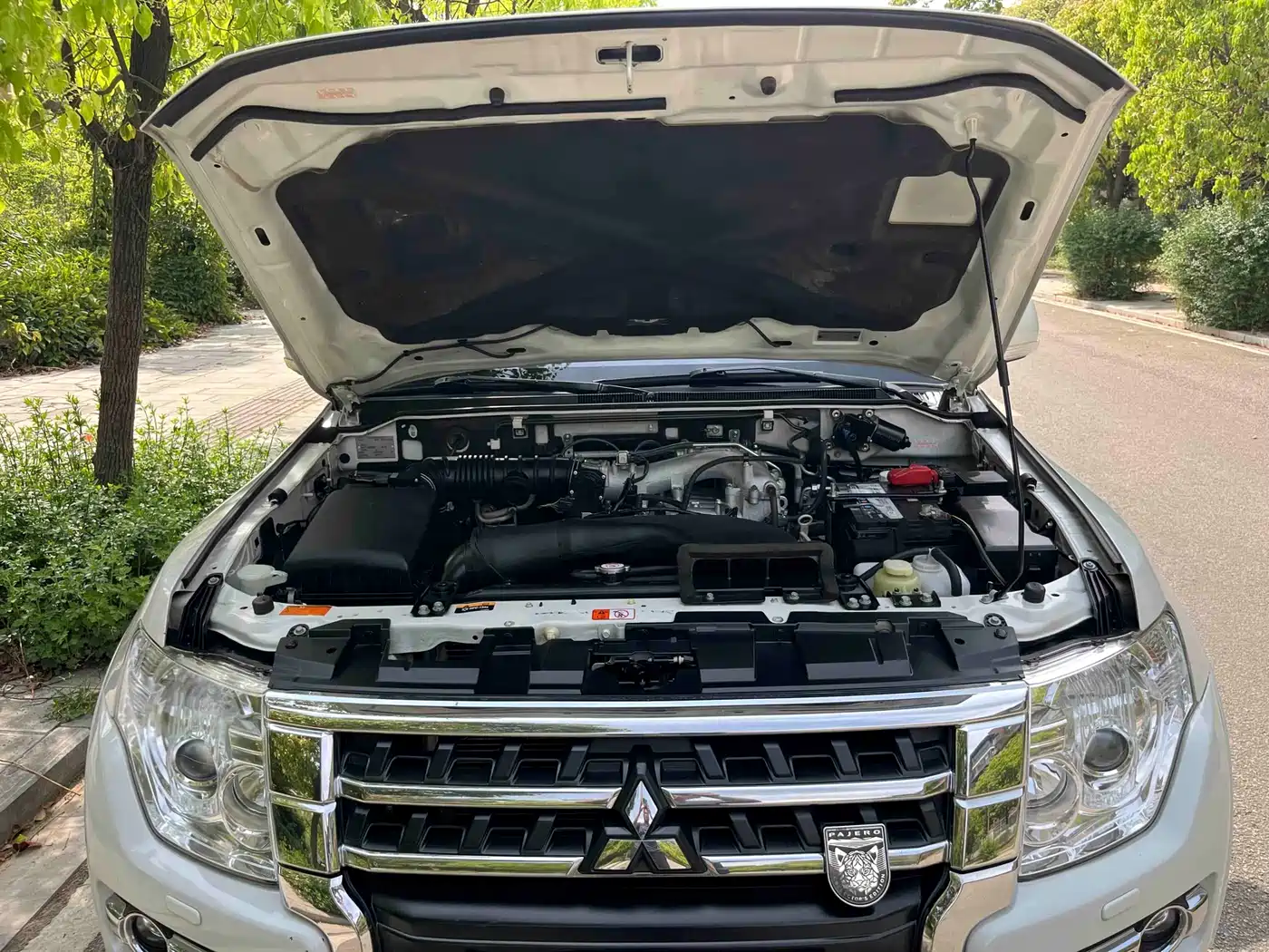 Mitsubishi Pajero (Import) 2019 3.0L Auto Standard Version фото 25