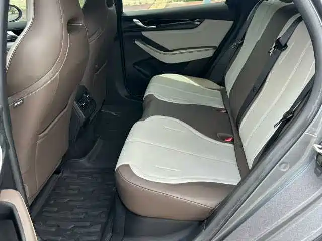 BYD Qin PLUS 2024 Glory Edition DM-i 55KM Leading фото 5