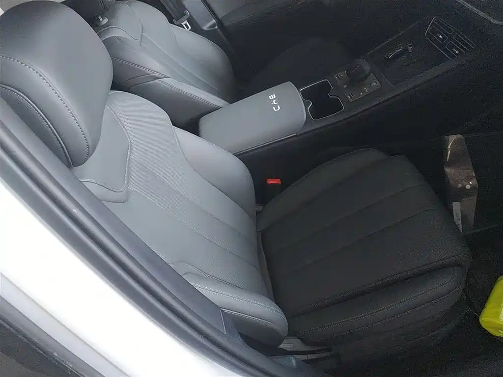BYD Song Pro New Energy 2025 2nd Generation Smart Drive Edition DM-i 75KM Leading Type фото 25