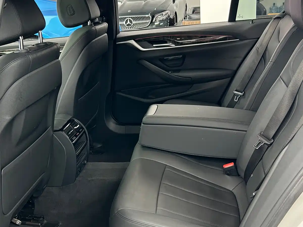 BMW 5 Series 2018 525Li Luxury Package фото 11