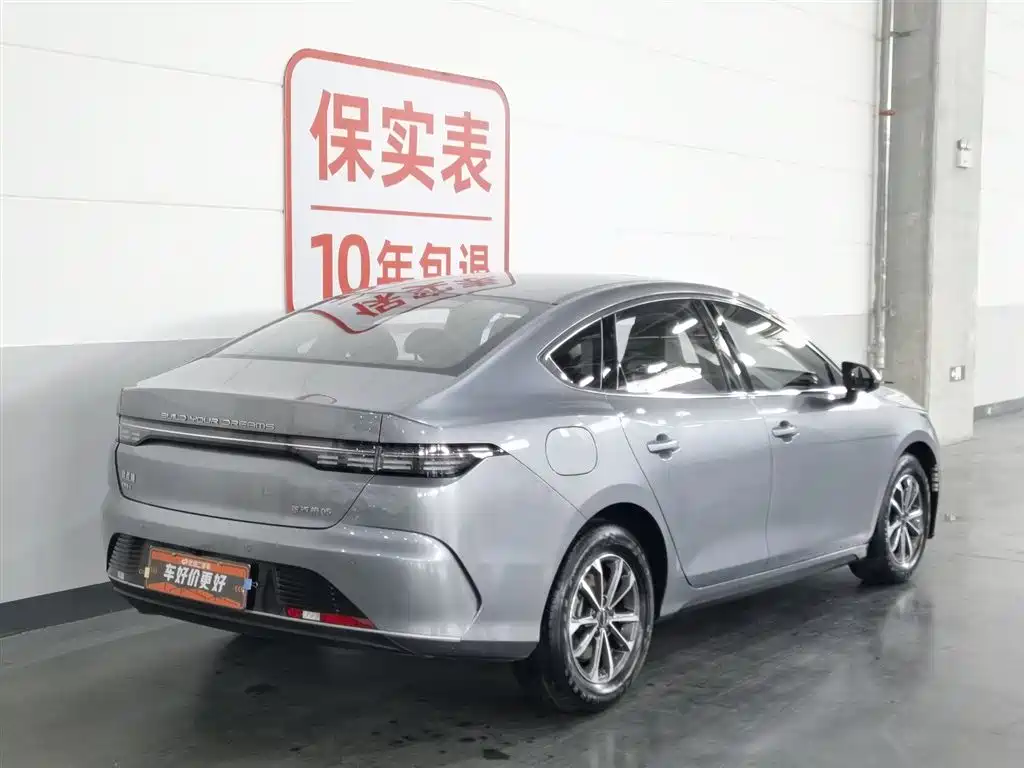 BYD Destroyer 05 2023 Champion Edition DM-i 55KM Premium фото 2