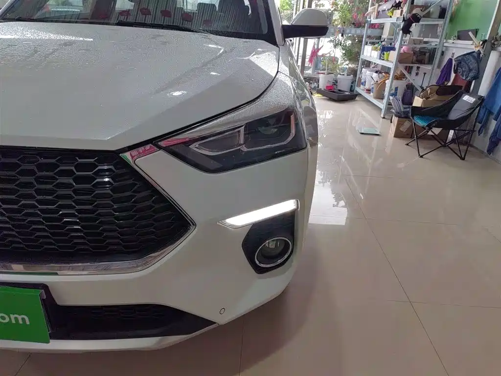 Haval H6 Coupe 2018 Red Label 1.5T Auto 2WD Ultra Luxury фото 24