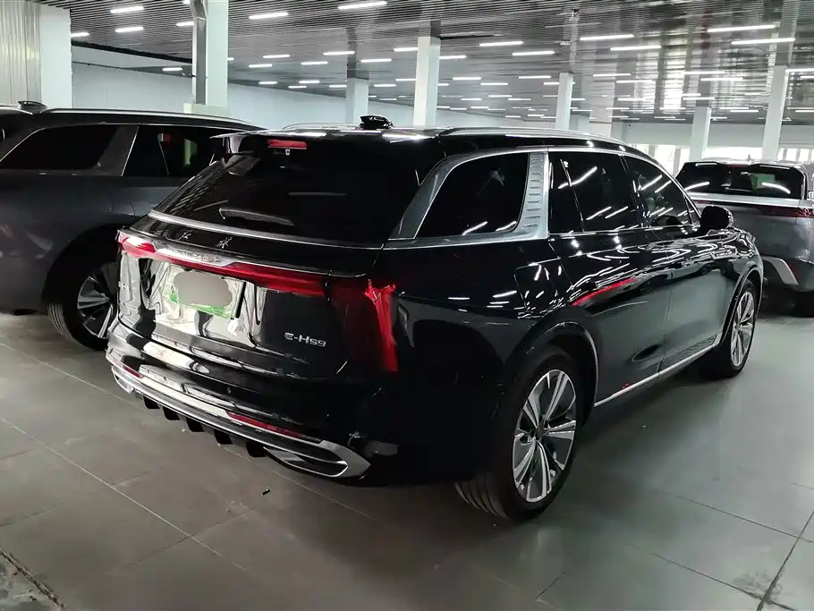 Hongqi E-HS9 2022 660km Qi Chang Edition (6-seater) фото 3
