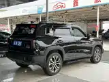 Фото 3 - Haval Dargo