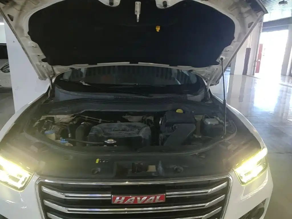 Haval H2s 2017 2017 Model Red Label 1.5T DCT Comfort