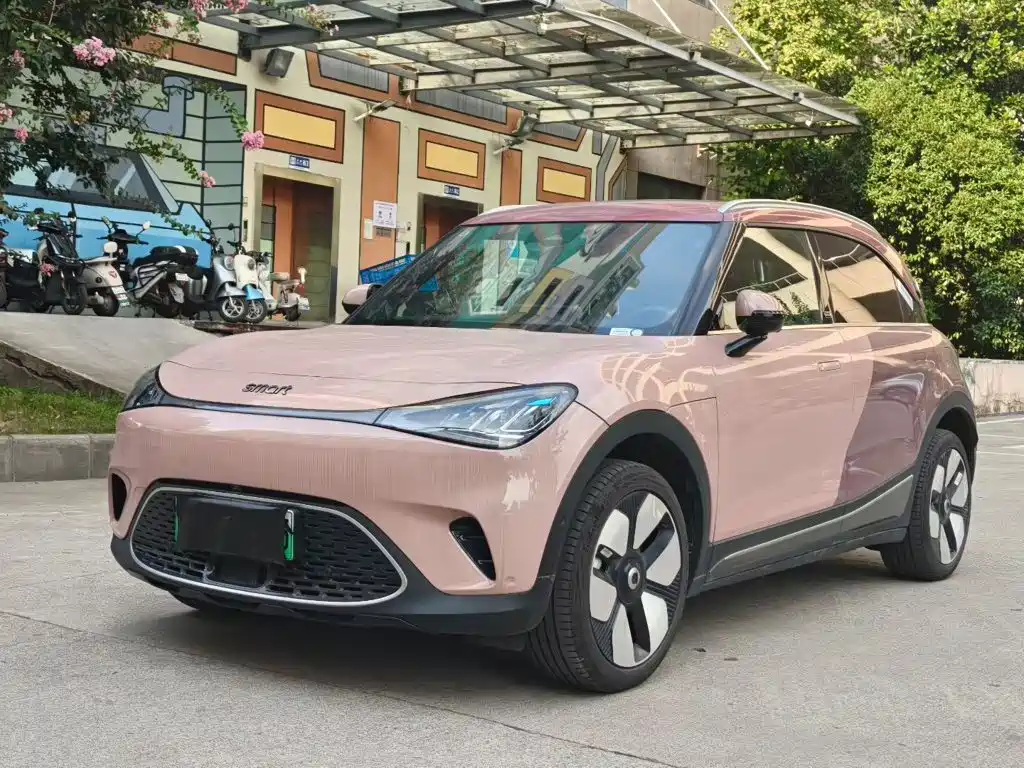 2025 smart Elf #1