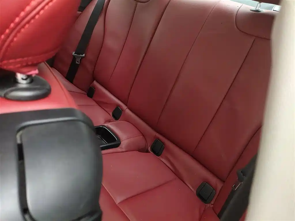 BMW 2 Series (Import) 2014 220i Leading фото 17