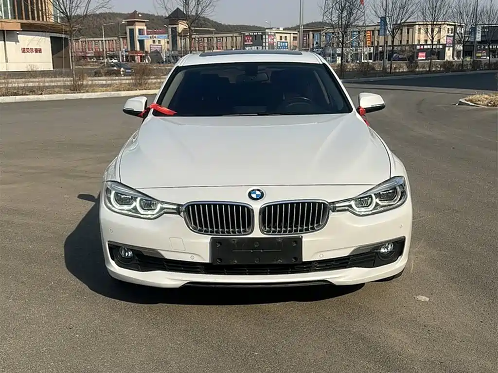 BMW 3 Series 2019 320Li xDrive Fashion Type фото 15