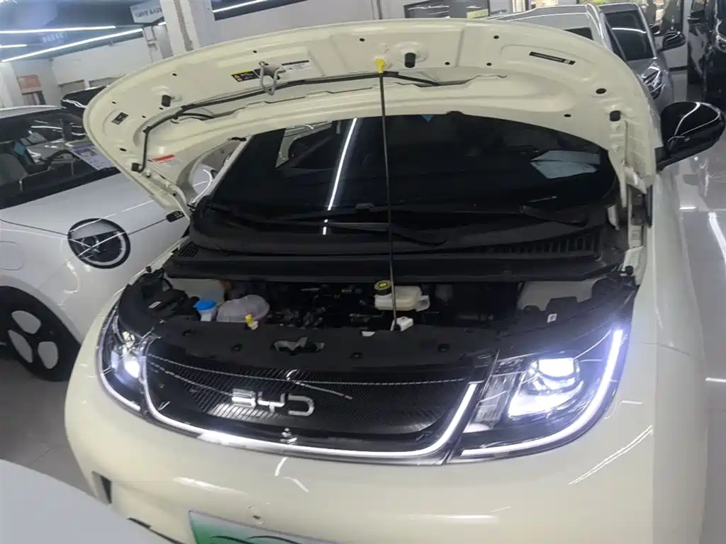 BYD Dolphin 2025 420km Freedom Edition фото 16