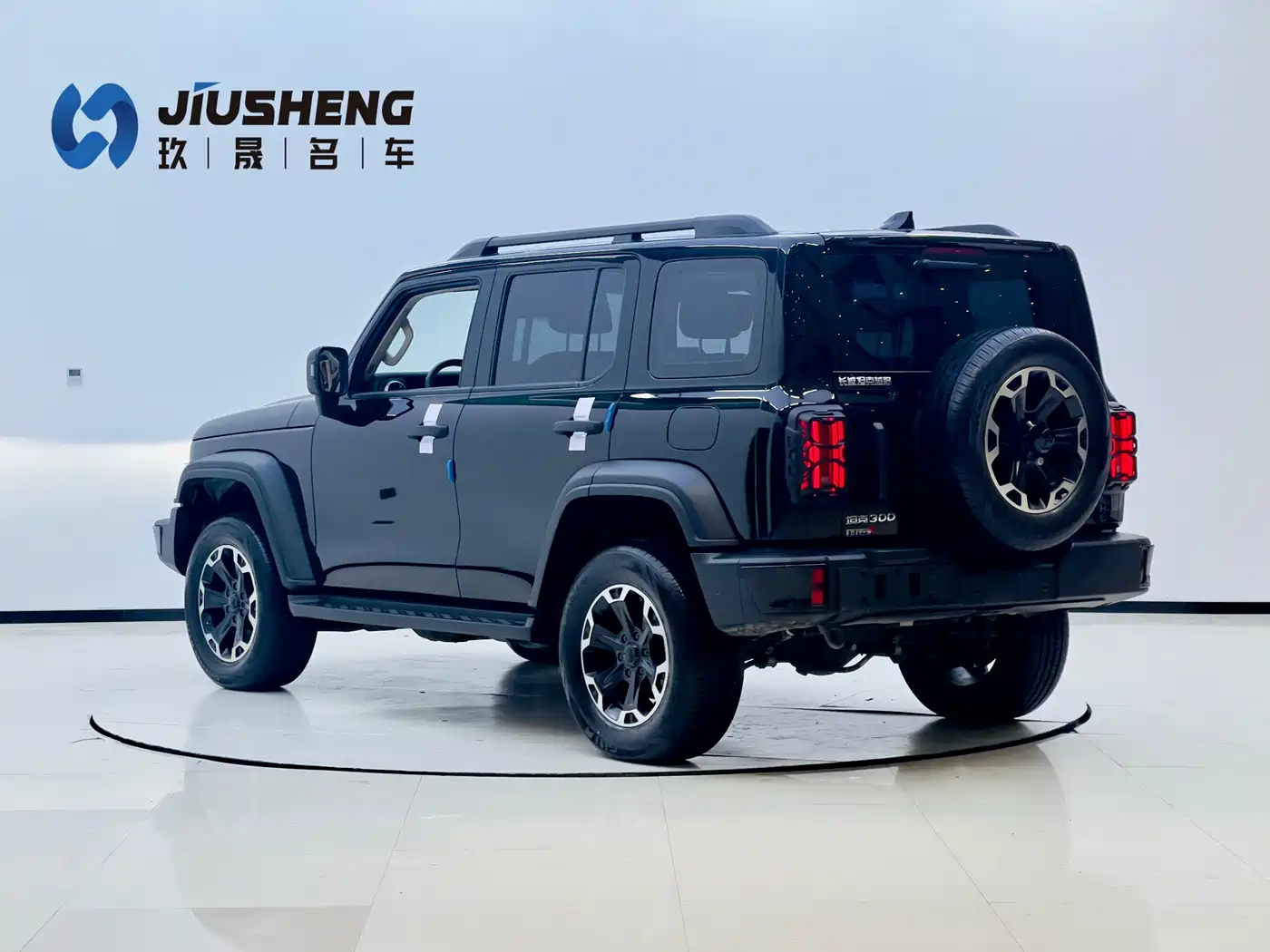 TANK TANK 300 NEW ENERGY