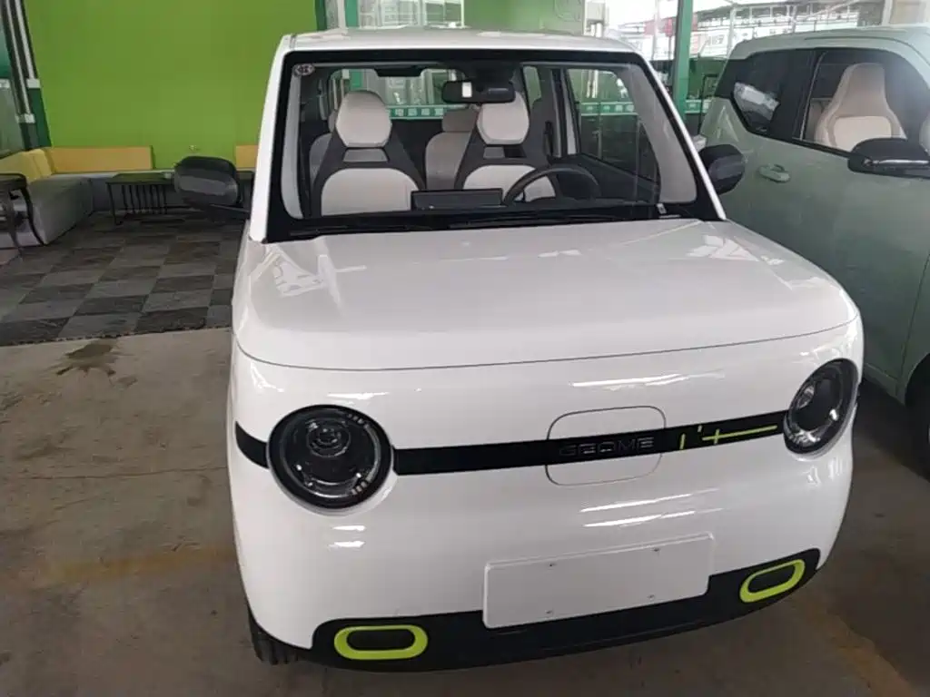 Geely Galaxy Panda 2026 2025 Panda mini 210km Vitality Bear