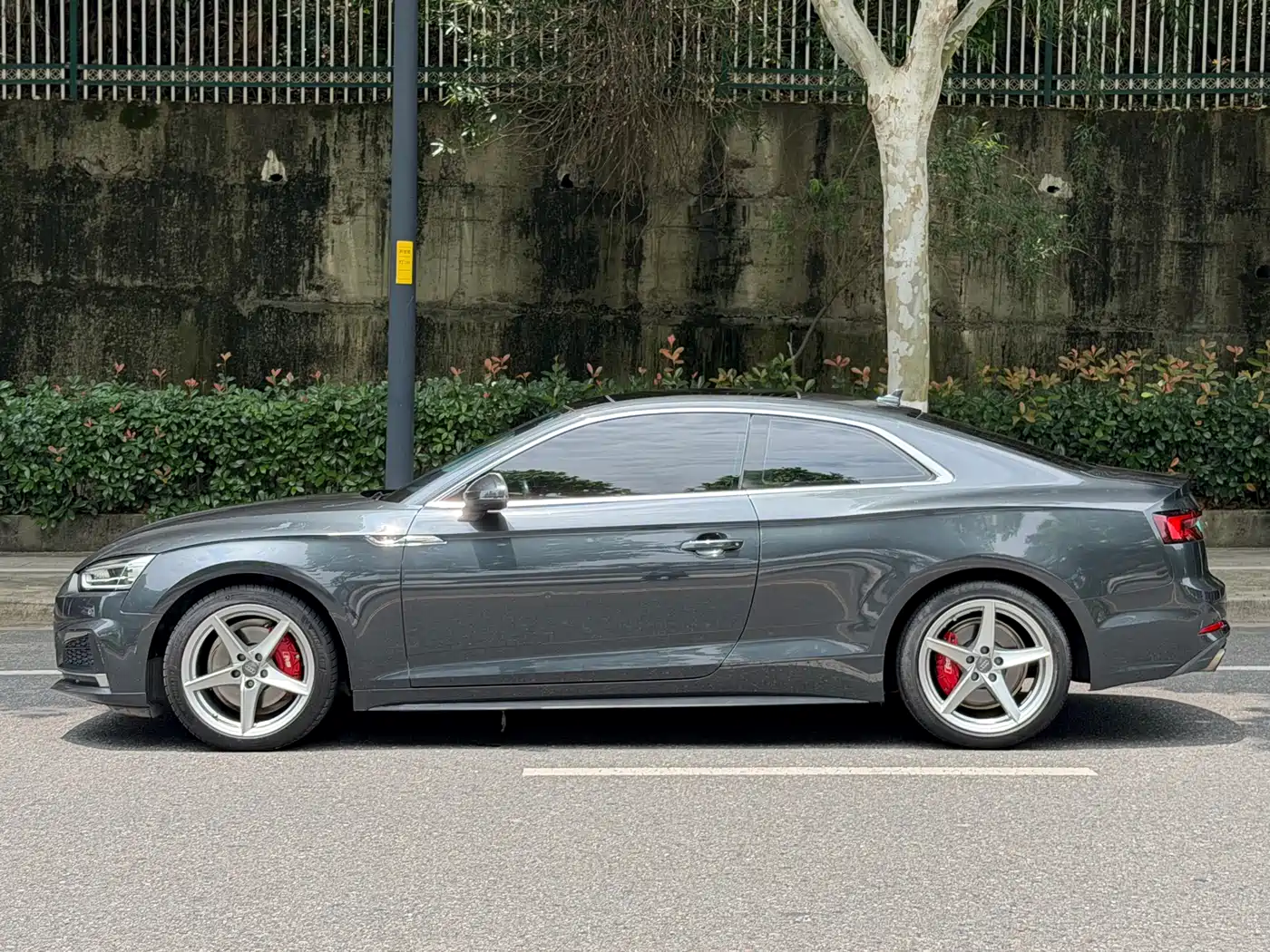Audi A5 (Import) 2017 Coupe 40 TFSI Style фото 5