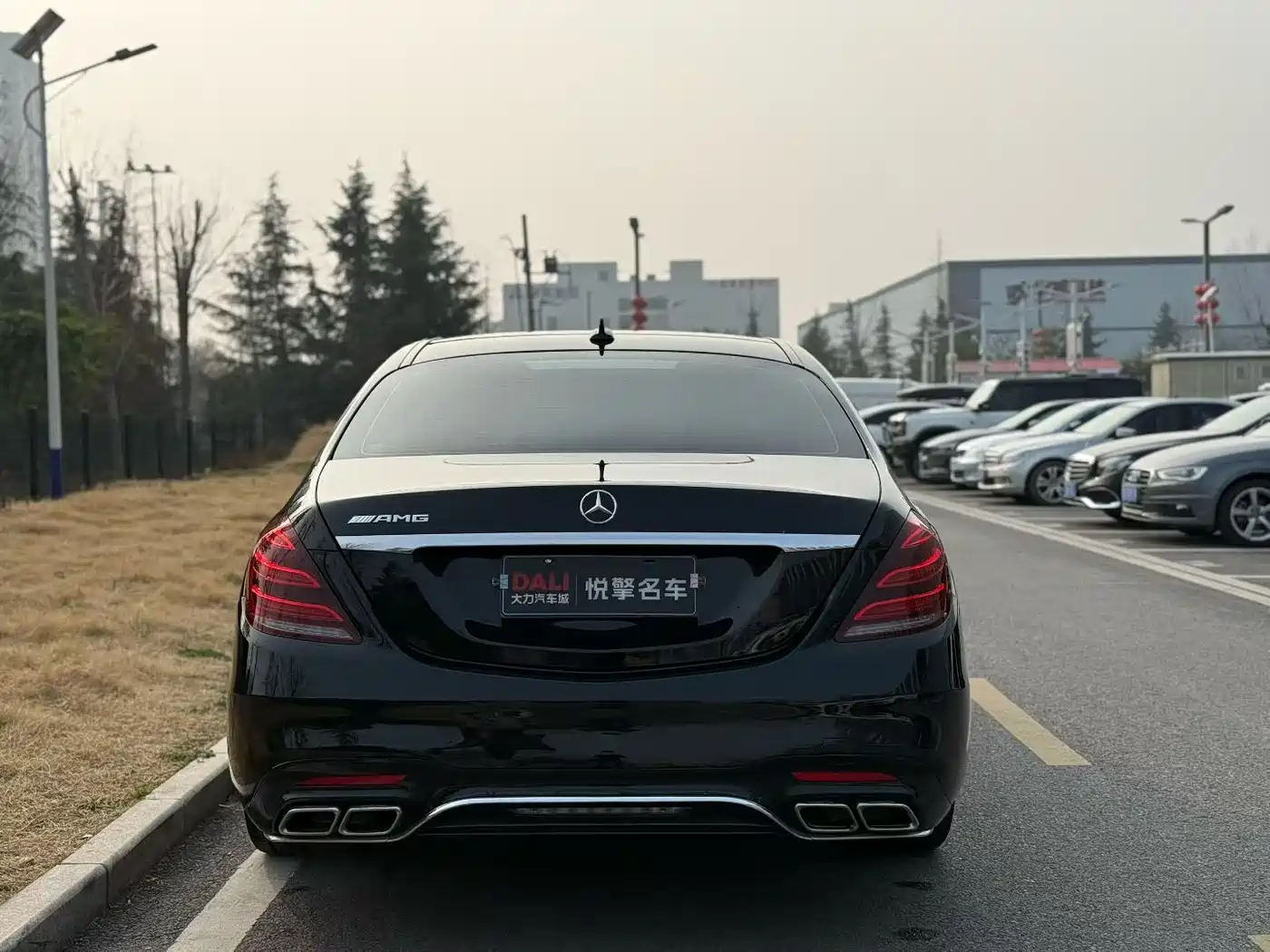 Mercedes-Benz S-Class 2016 S 320 L Luxury фото 8