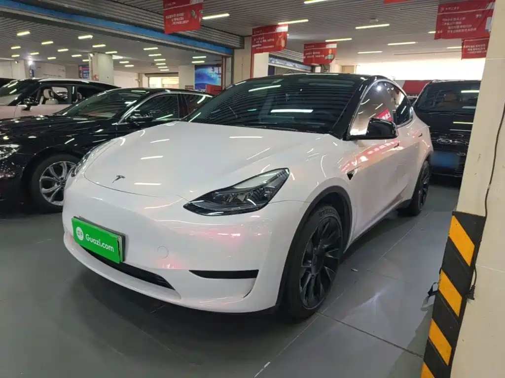 Tesla Model Y 2022 Rear-Wheel Drive Version