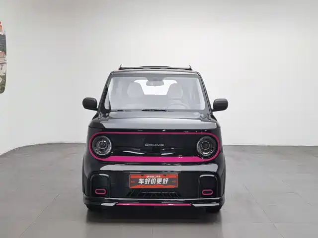 Geely Galaxy Panda 2025 Model Year 210km Panda Kart — фото 3