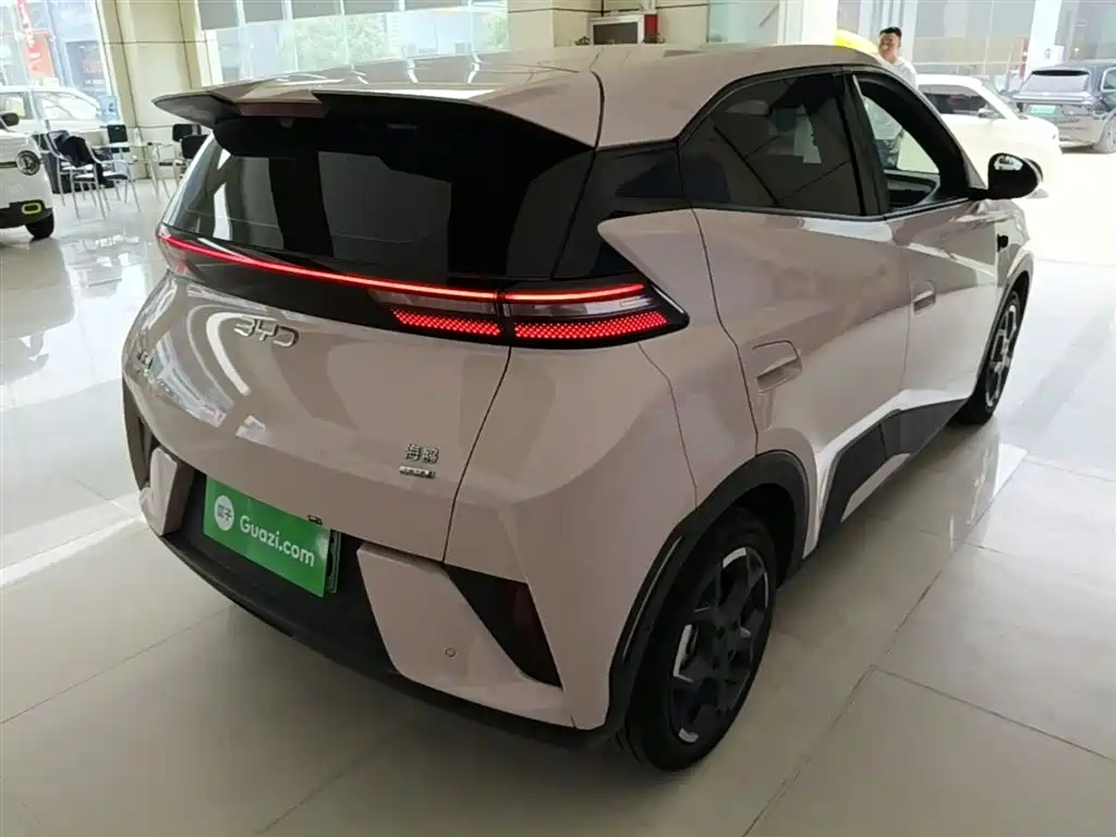 BYD Seagull 2025 Smart Drive Edition 305km Freedom Version фото 7