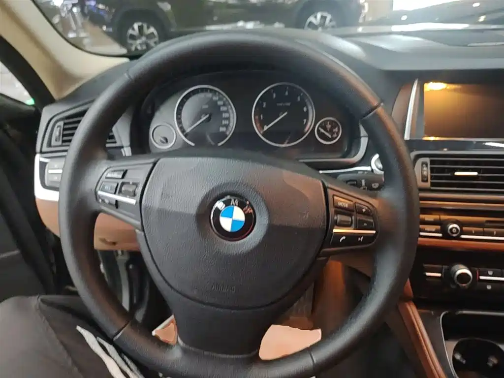 BMW 5 Series (Import) 2015 520i Elegance фото 11