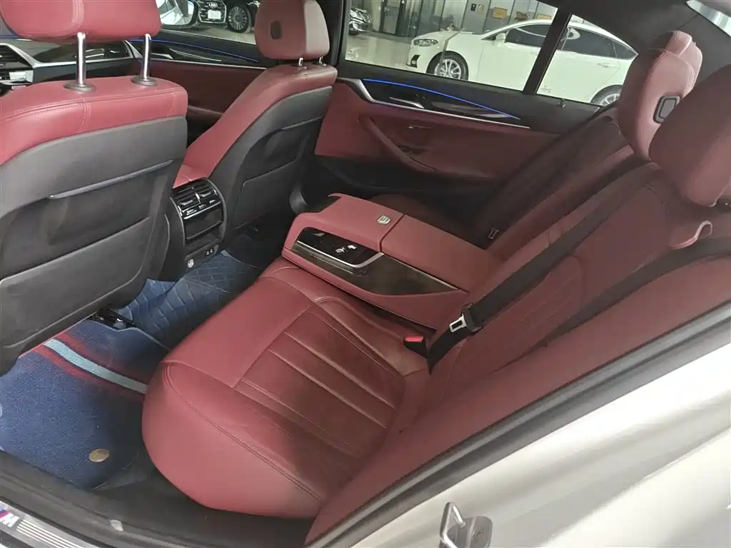 BMW 5 Series 2020 530Li Leading M Sport Package фото 17