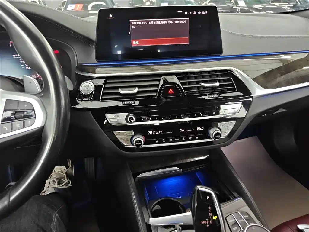 BMW 5 Series 2020 530Li Leading M Sport Package фото 13