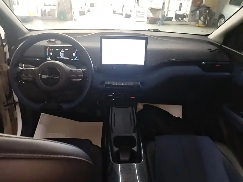 BYD Seagull 2023 Freedom Edition фото 10