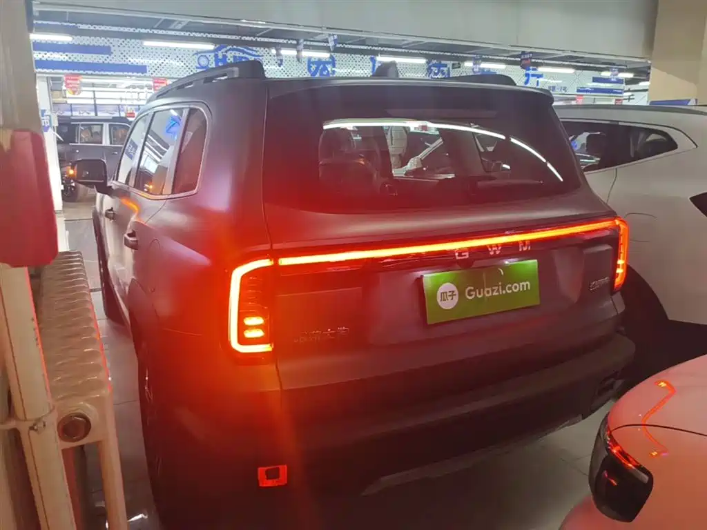 Haval Big Dog 2026 Model 1.5T High Configuration фото 5