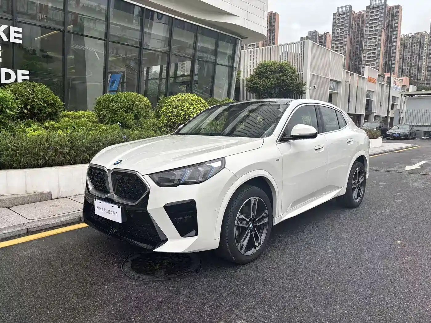 2025 BMW X2 (Import)