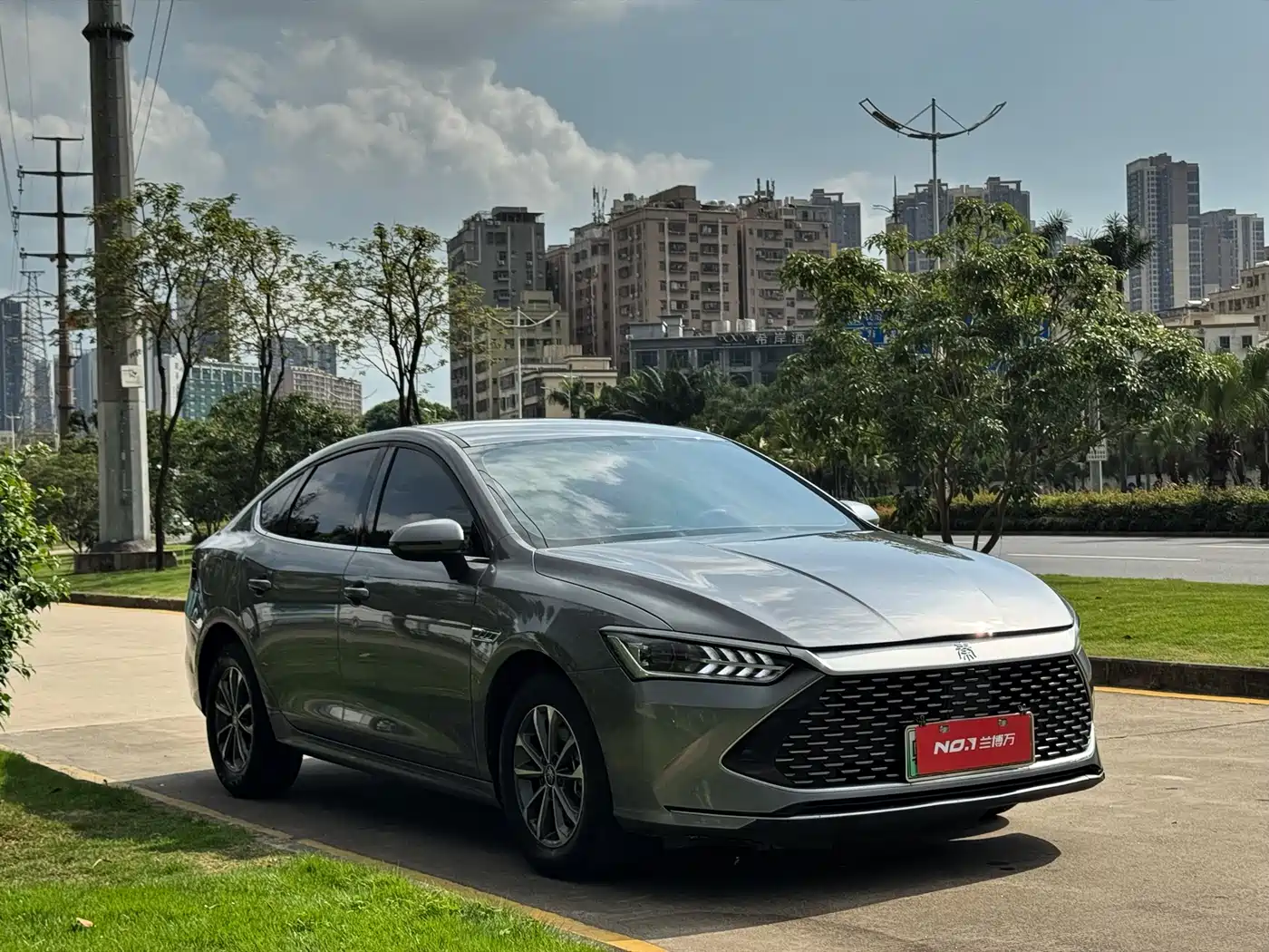 BYD Qin PLUS 2024 Glory Edition DM-i 55KM Leading фото 2