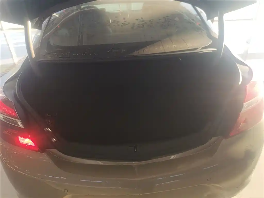 Buick Regal 2015 1.6T Elite Tech Edition фото 19