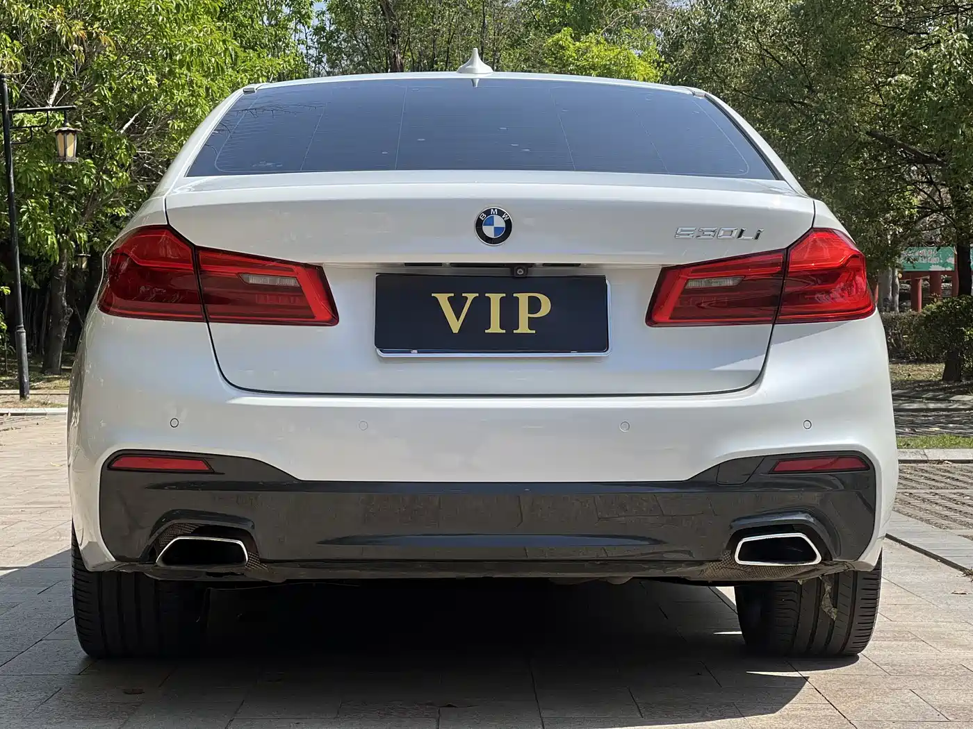 BMW 5 Series 2019 530Li Leading M Sport Package фото 22