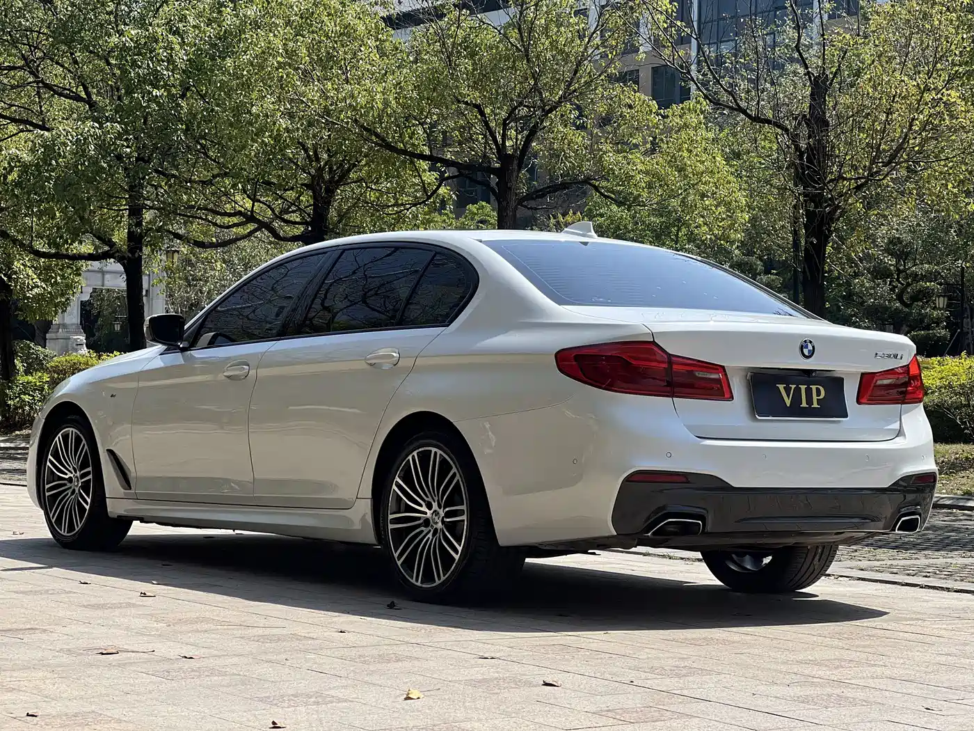 BMW 5 Series 2019 530Li Leading M Sport Package фото 18