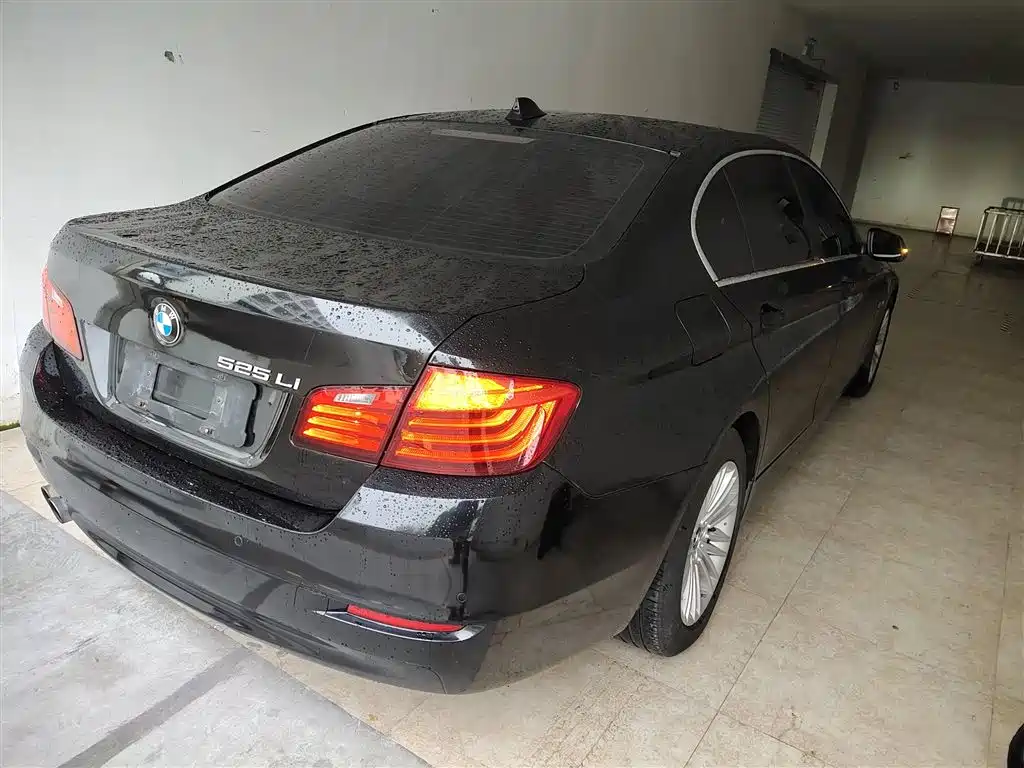 BMW 5 Series 2014 525Li Leading фото 5